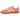 adidas Gazelle Indoor Bad Bunny Cabo Rojo sneakers i en vinklet profil med rød ruskindsoverdel, hvide læderdetaljer og gummisål