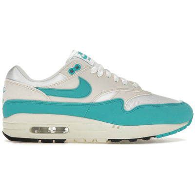 Nike Air Max 1 Dusty Cactus