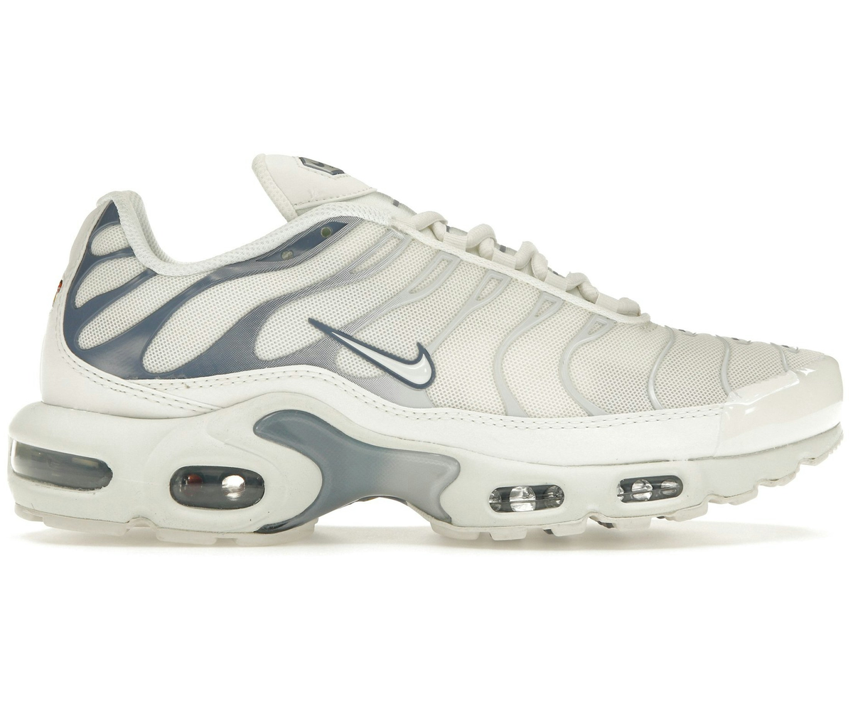 Nike Air Max Plus Ashen Slate