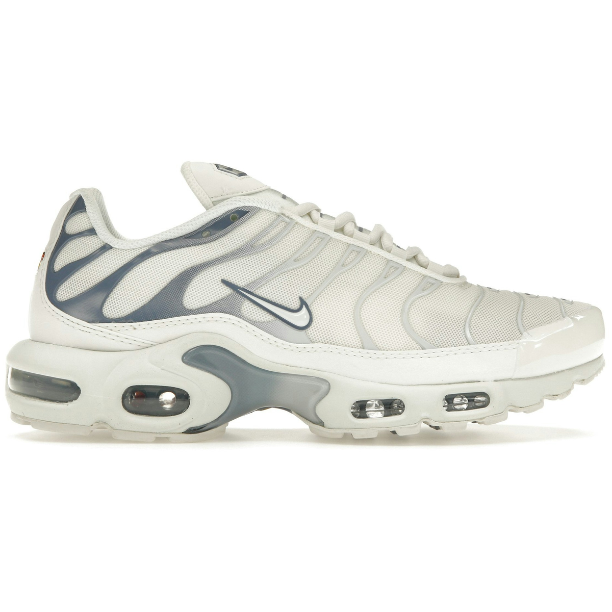 Nike Air Max Plus Ashen Slate