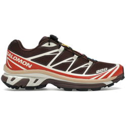 Salomon XT 6 Gore Tex Roasted Clay